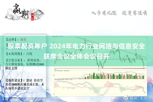 股票配资账户 2024年电力行业网络与信息安全联席会议全体会