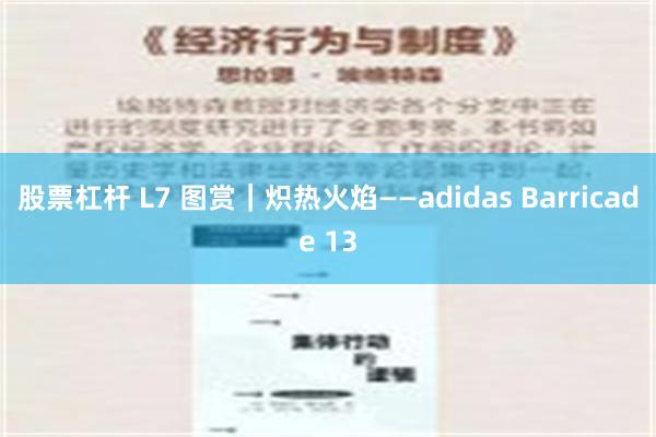 股票杠杆 L7 图赏｜炽热火焰——adidas Barric