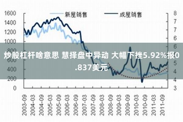 炒股杠杆啥意思 慧择盘中异动 大幅下挫5.92%报0.837