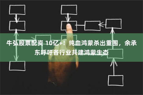 牛弘股票配资 10亿+！纯血鸿蒙杀出重围，余承东呼吁各行业共