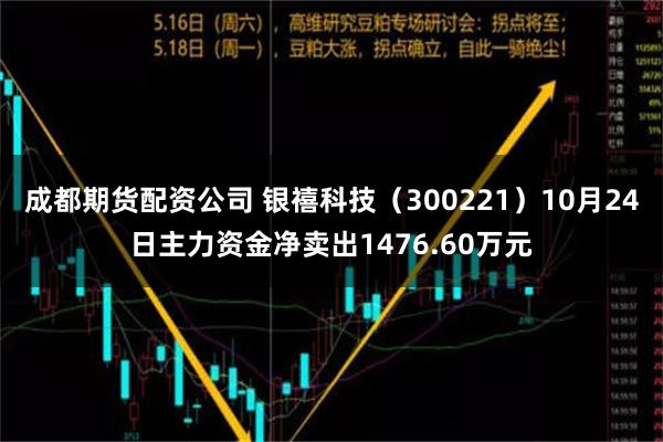 成都期货配资公司 银禧科技（300221）10月24日主力资