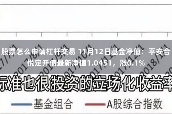 股票怎么申请杠杆交易 11月12日基金净值：平安合悦定开债最