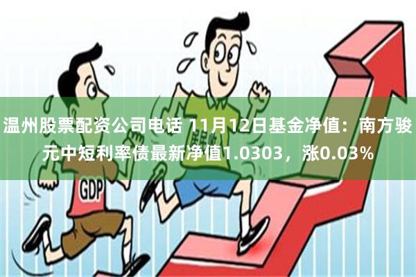 温州股票配资公司电话 11月12日基金净值：南方骏元中短利率