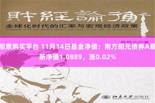 股票购买平台 11月14日基金净值：南方昭元债券A最新净值1