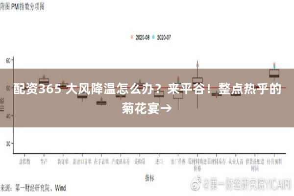 配资365 大风降温怎么办？来平谷！整点热乎的菊花宴→