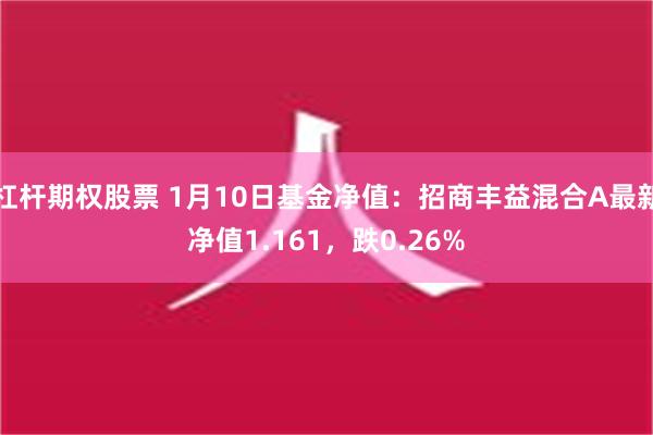 杠杆期权股票 1月10日基金净值：招商丰益混合A最新净值1.