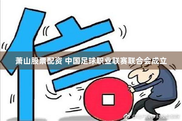 萧山股票配资 中国足球职业联赛联合会成立