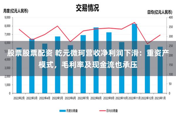 股票股票配资 乾元微珂营收净利润下滑：重资产模式，毛利率及现