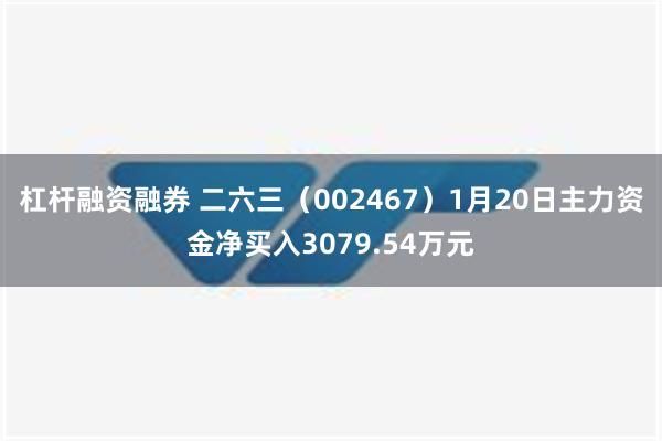 杠杆融资融券 二六三（002467）1月20日主力资金净买入