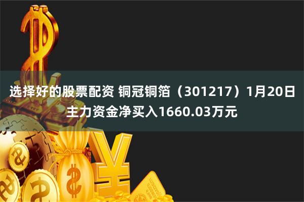 选择好的股票配资 铜冠铜箔（301217）1月20日主力资金